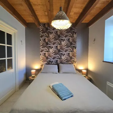 Authentique Calme Avec Piscine Et Jardin Prive - Fr-1-616-474 Holiday home Sainte-Sabine-Born